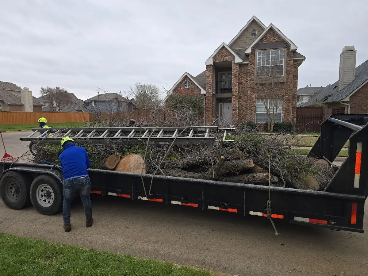 Expert Lot Clearing with proper safety equipment in Lake Mills